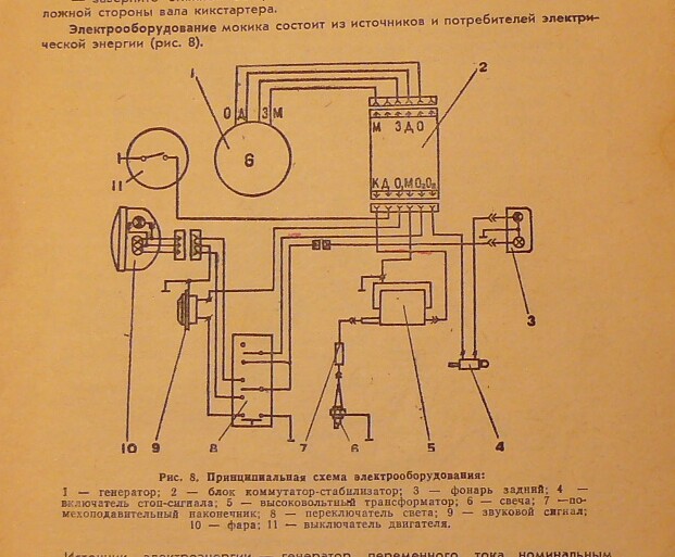 P1150682-1.jpg