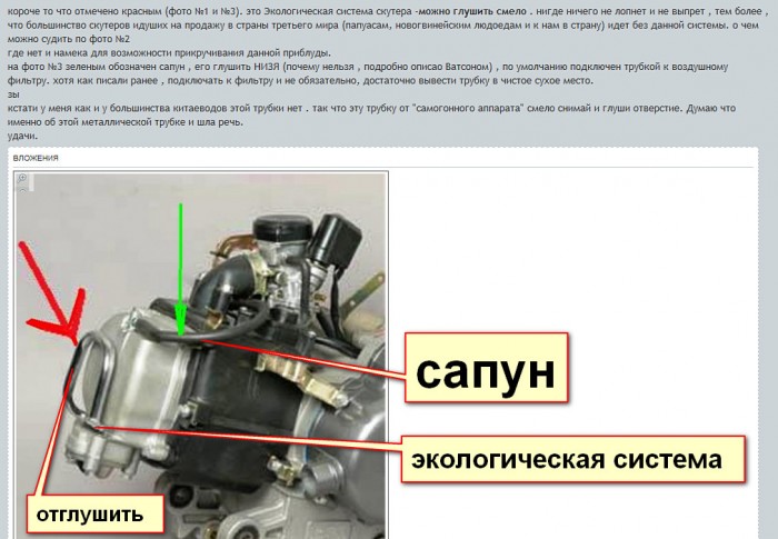 Сапун и Эколог. система.jpg