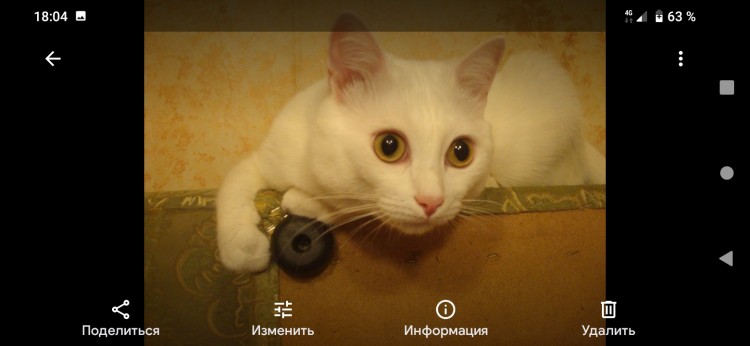 Screenshot_20210831_180410.jpg