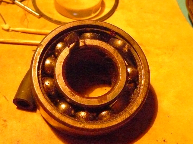 P1130944.JPG