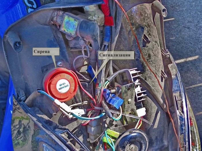 Сигн-я_1.jpg