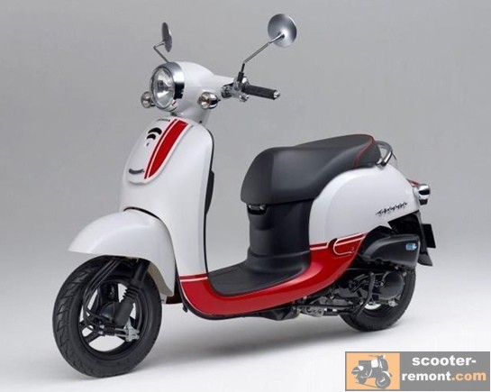 Honda Giorno Sport Honda Giorno Sport